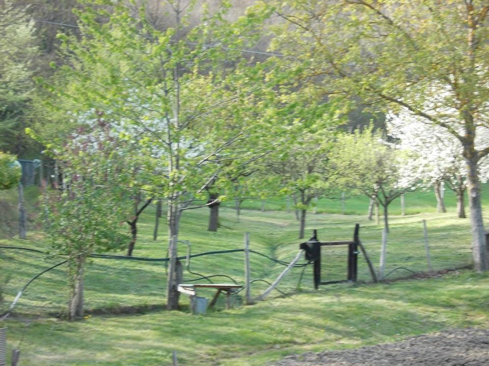 הוילה San Martino  Casa Molinari מראה חיצוני תמונה